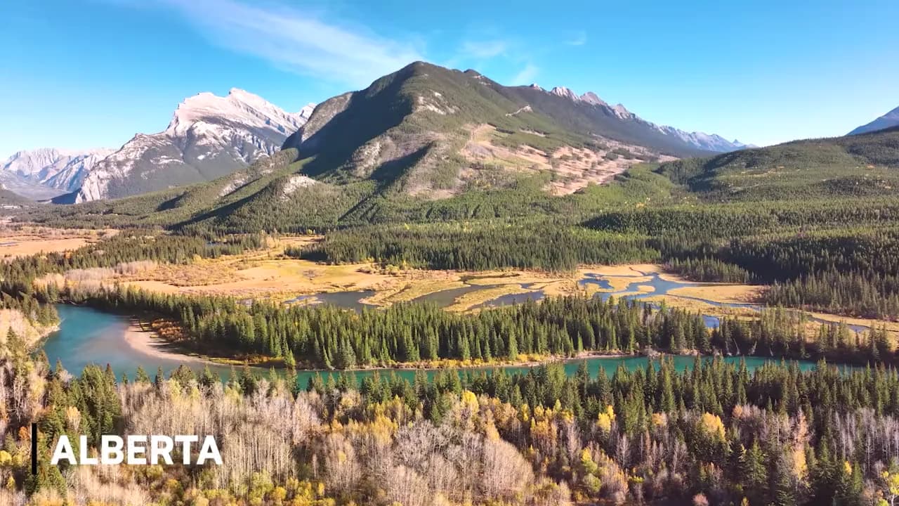 Bitcoin Rodeo