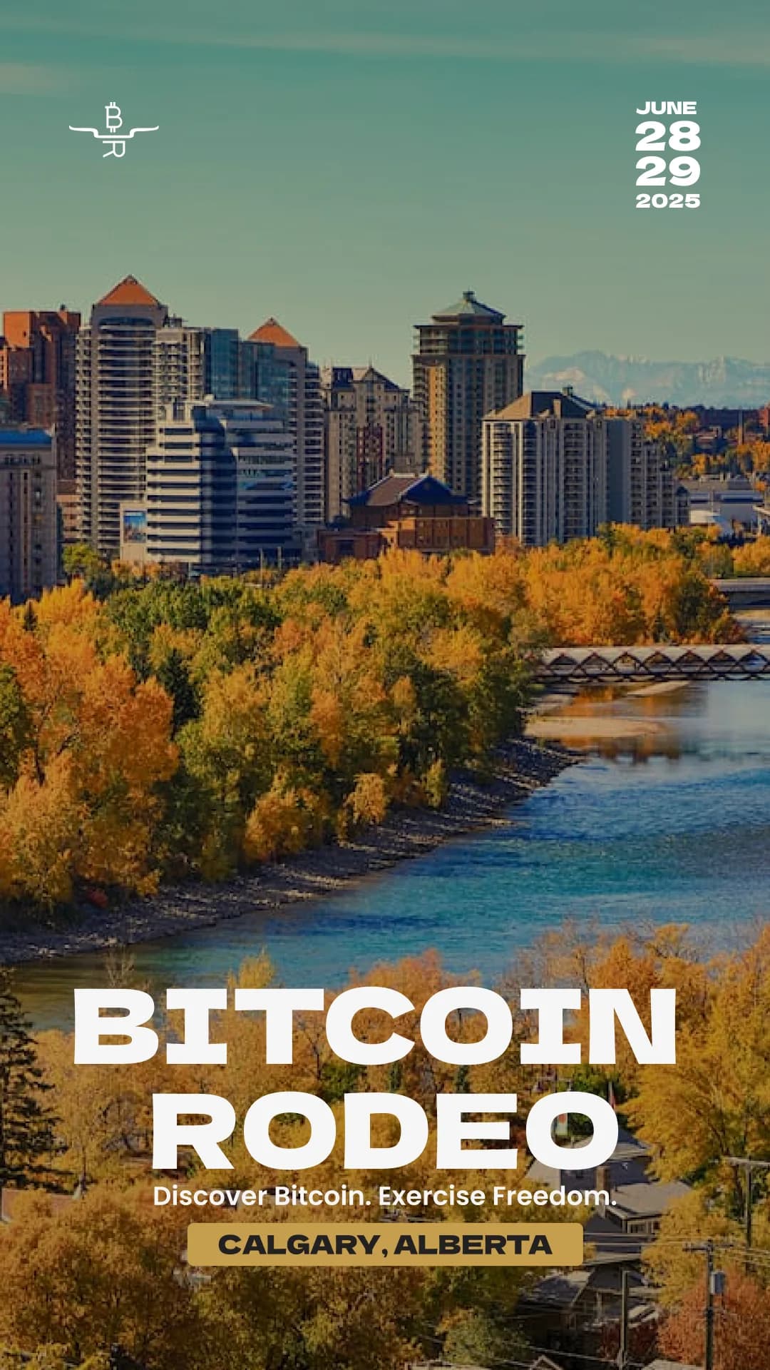 Bitcoin Rodeo detail 3
